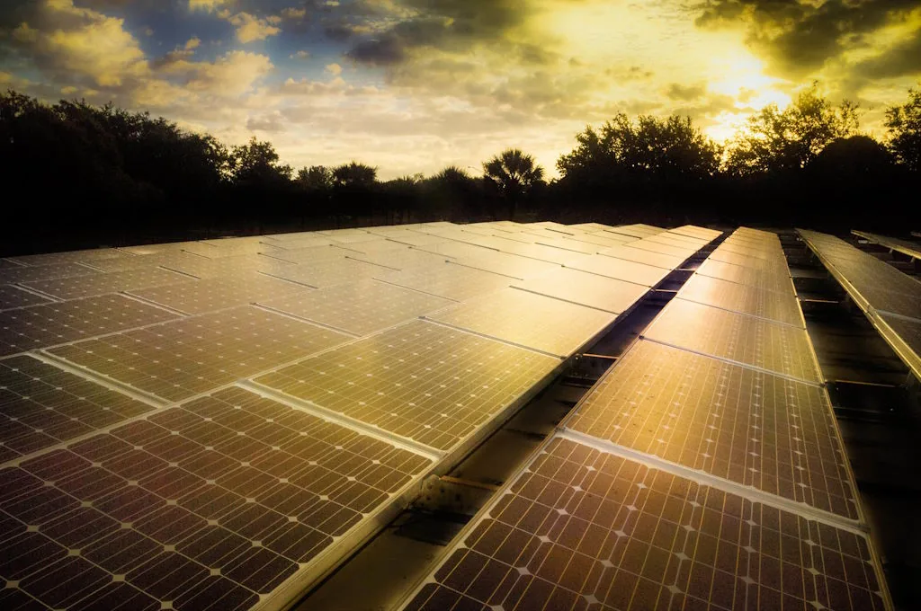 Bifaziale Module: Vor- und Nachteile für die moderne Solarenergie