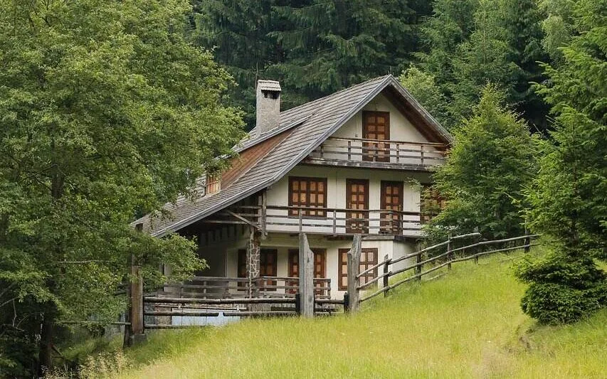 Haus im Wald kaufen: Was ist zu beachten? - Wohntrends Magazin