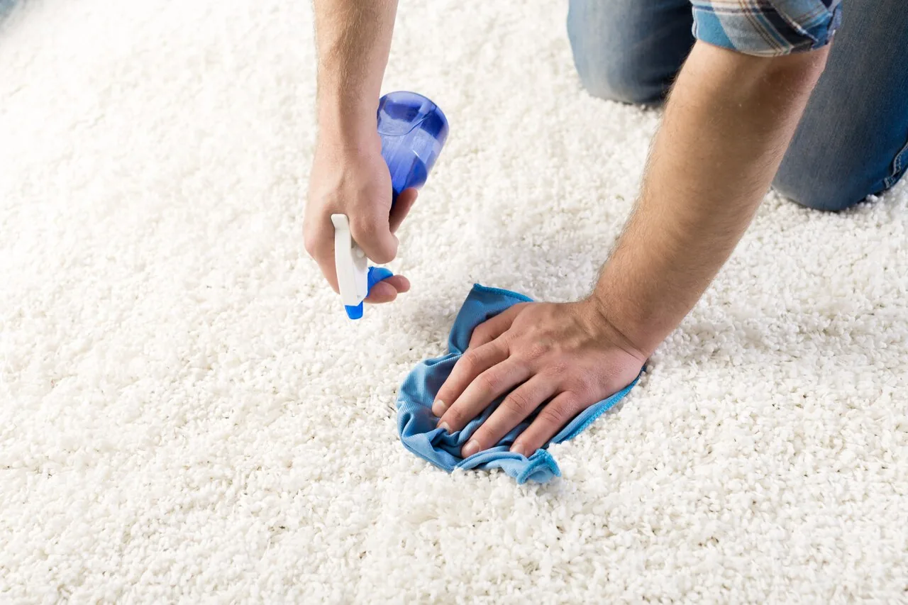 Hochflor-Teppich wieder flauschig machen: Tipps zur richtigen Pflege und Reinigung