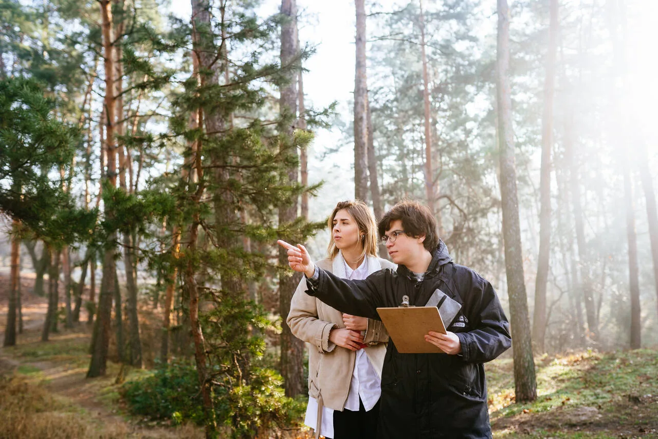 Einen eigenen Wald kaufen: Ein Leitfaden für potenzielle Waldbesitzer