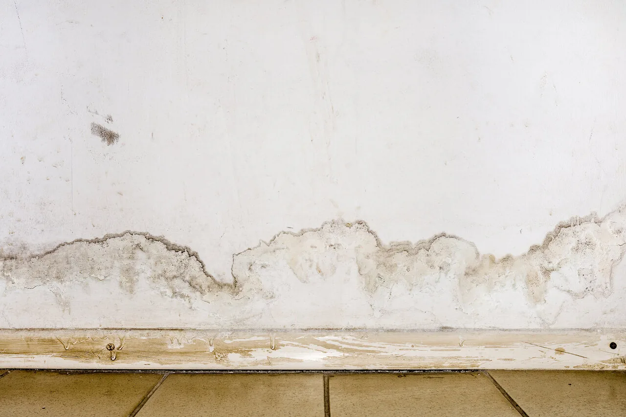 Feuchtigkeit in Wänden: Wie feucht darf eine Wand sein?